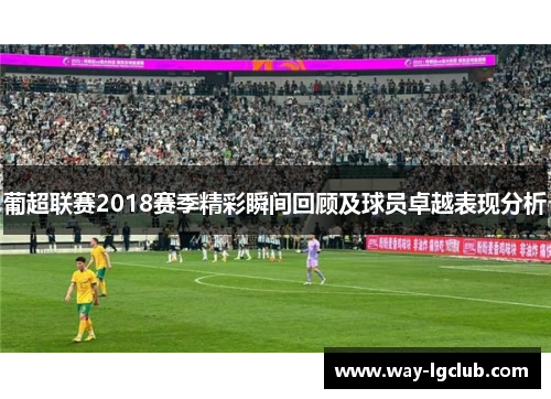 葡超联赛2018赛季精彩瞬间回顾及球员卓越表现分析
