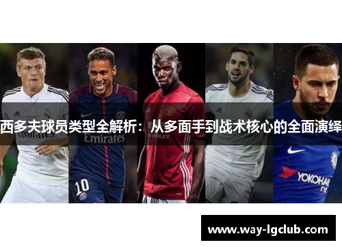 西多夫球员类型全解析:从多面手到战术核心的全面演绎 西多夫球员类型全解析:从多面手到战术核心的全面演绎
