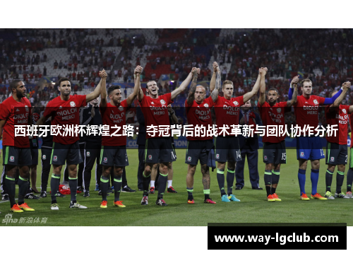 西班牙欧洲杯辉煌之路:夺冠背后的战术革新与团队协作分析 西班牙欧洲杯辉煌之路:夺冠背后的战术革新与团队协作分析