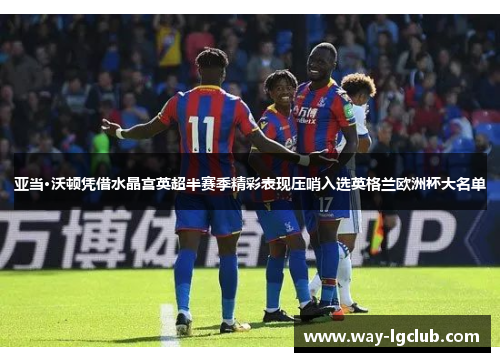亚当·沃顿凭借水晶宫英超半赛季精彩表现压哨入选英格兰欧洲杯大名单 亚当·沃顿凭借水晶宫英超半赛季精彩表现压哨入选英格兰欧洲杯大名单