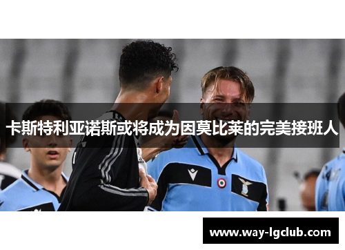 卡斯特利亚诺斯或将成为因莫比莱的完美接班人 卡斯特利亚诺斯或将成为因莫比莱的完美接班人