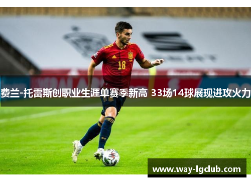 费兰-托雷斯创职业生涯单赛季新高 33场14球展现进攻火力