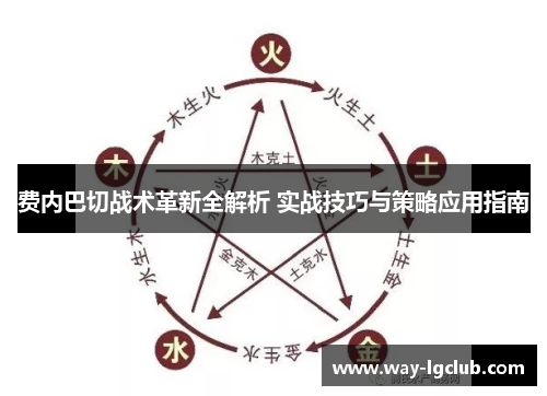 费内巴切战术革新全解析 实战技巧与策略应用指南