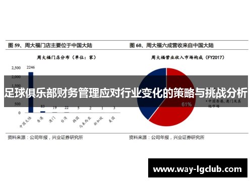 足球俱乐部财务管理应对行业变化的策略与挑战分析