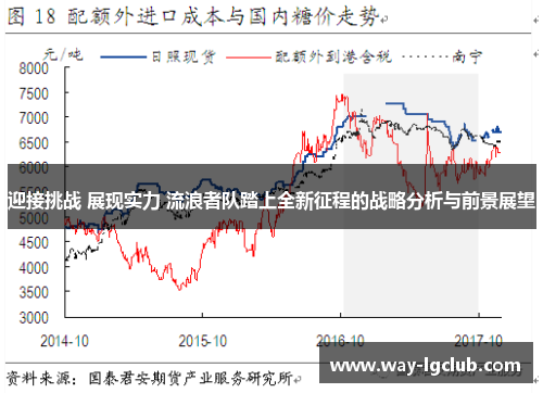 迎接挑战 展现实力 流浪者队踏上全新征程的战略分析与前景展望