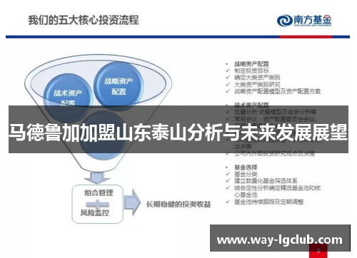 马德鲁加加盟山东泰山分析与未来发展展望 马德鲁加加盟山东泰山分析与未来发展展望