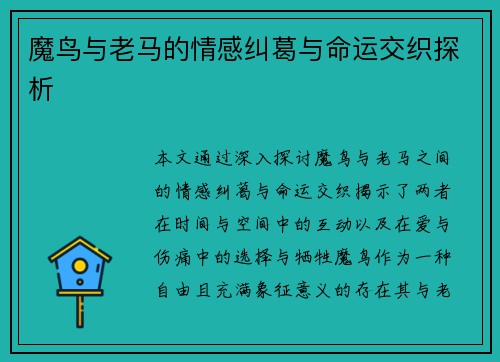 魔鸟与老马的情感纠葛与命运交织探析