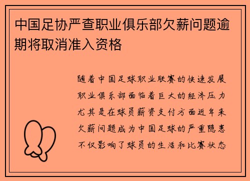 中国足协严查职业俱乐部欠薪问题逾期将取消准入资格